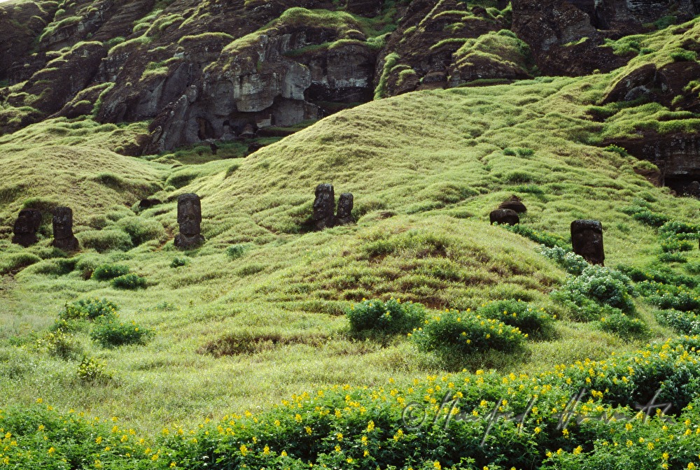 Rano Raraku
