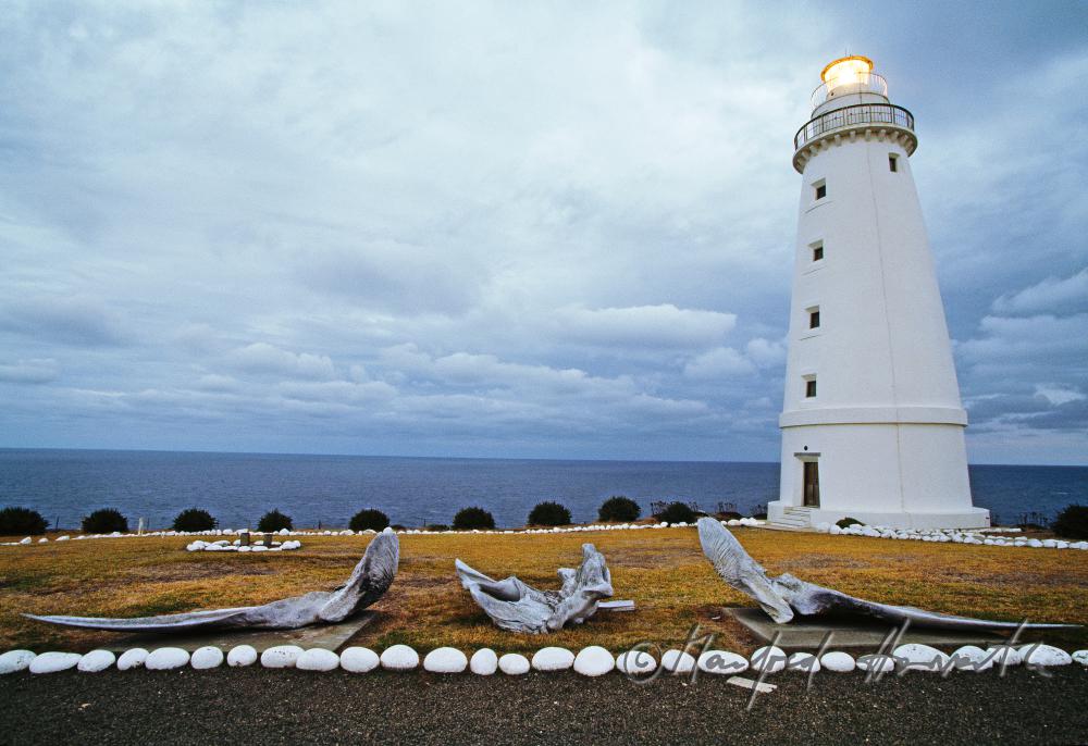 Cape Willoughby Leuchtturm, Walfischknochen