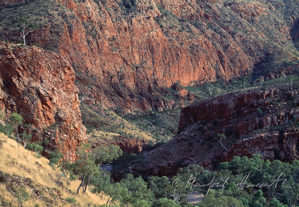 Tal der MacDonnell Ranges