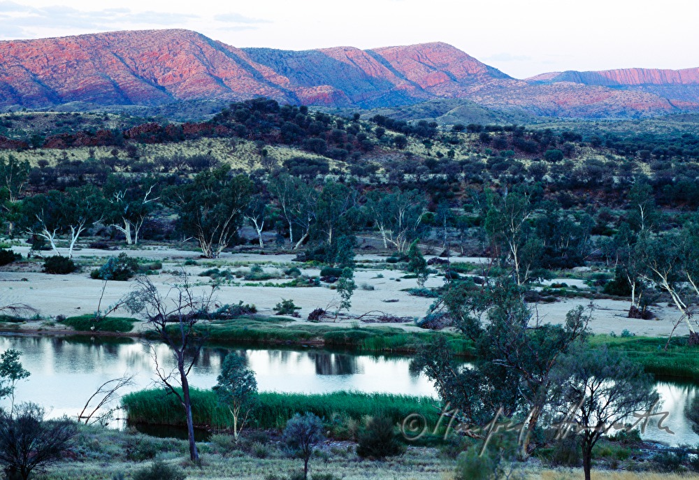 Tal der MacDonnell Ranges