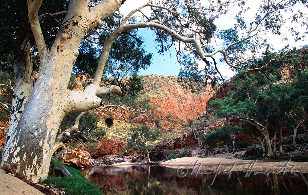 Tal der MacDonnell Ranges