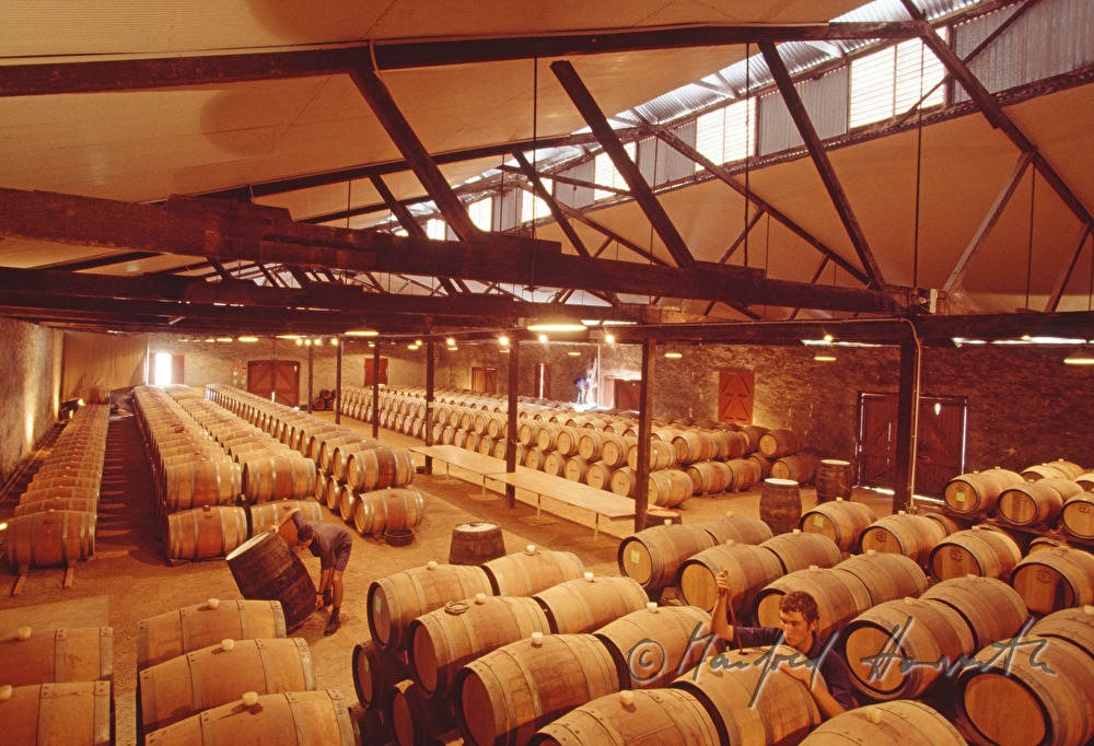 Rotwein wird in Barrique-Fässern gelagert