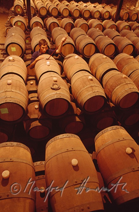 Rotwein wird in Barrique-Fässern gelagert