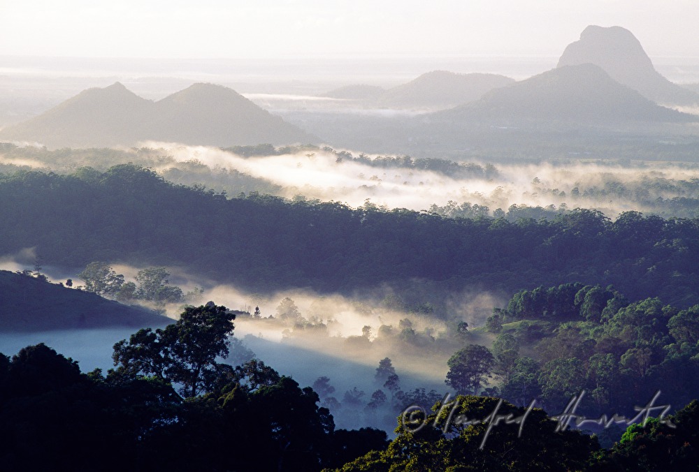 Morgendunst und Glass House Mountains