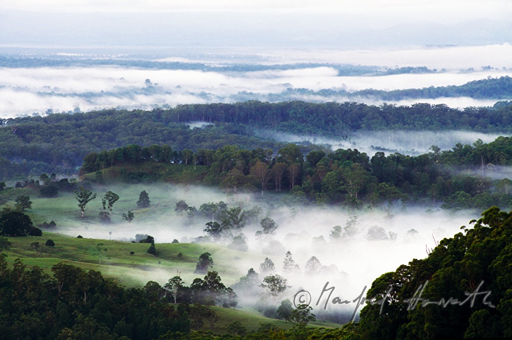 Morgendunst und Glass House Mountains