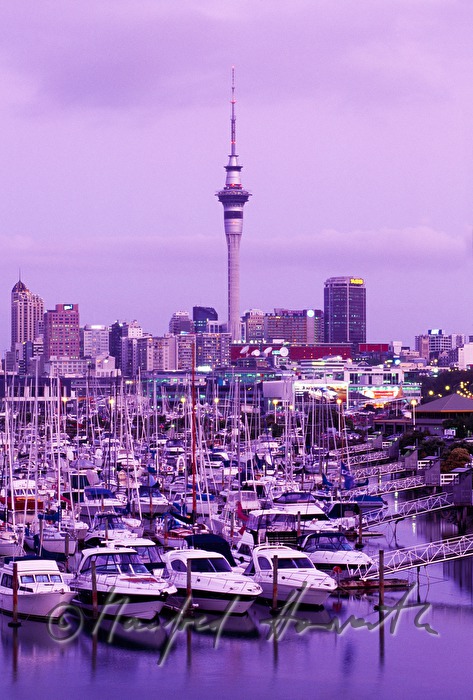 Skyline mit Hafen von Westhaven