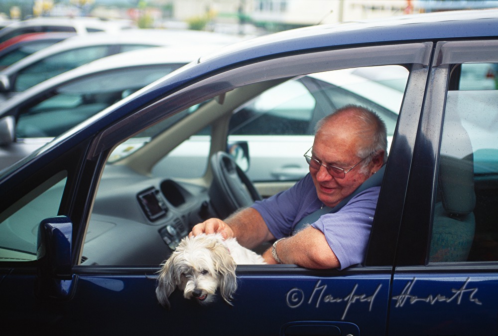 Mann mit Hund im Auto