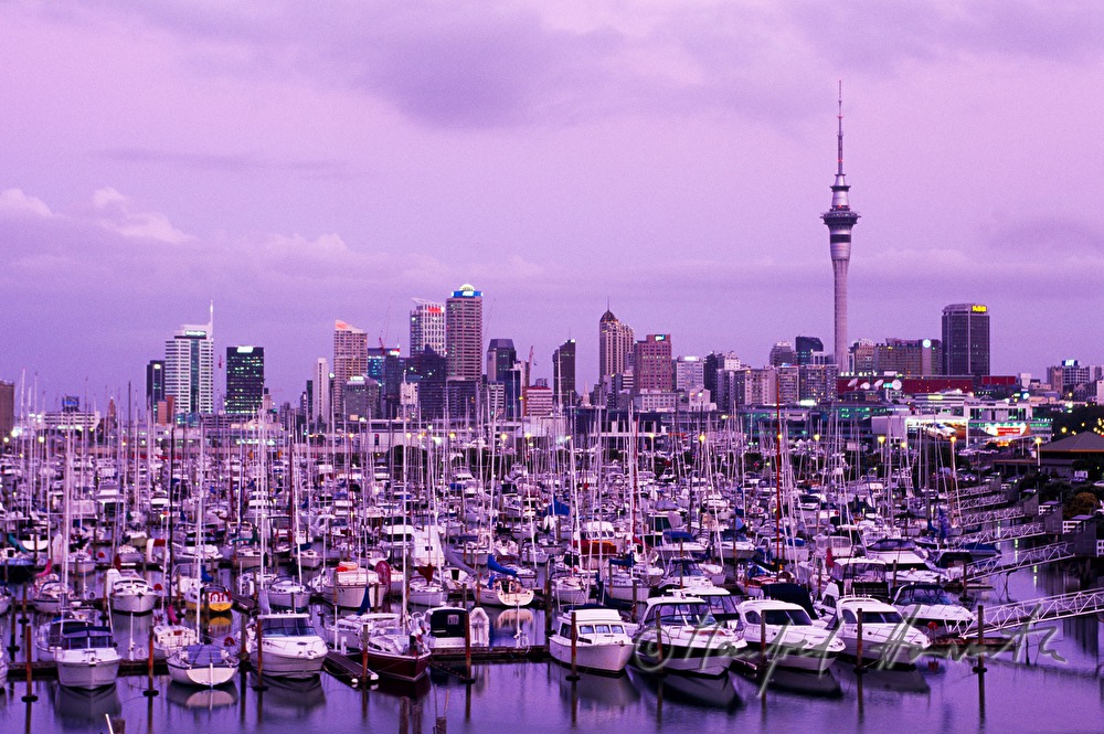 Skyline mit Hafen von Westhaven