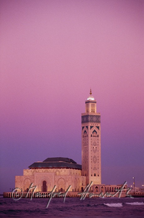 Moschee Hassan II mit Palmen