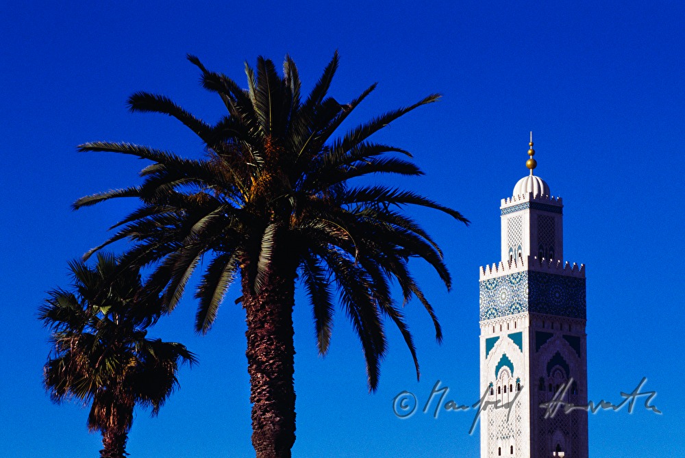 Moschee Hassan II mit Palmen