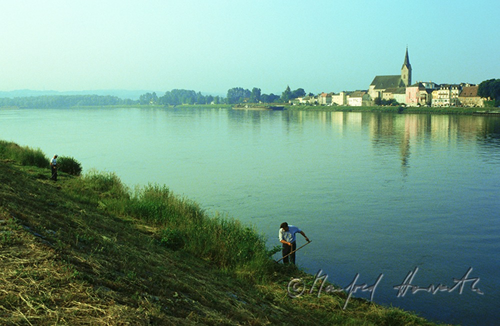 Ybbs an der Donau im Strudengau