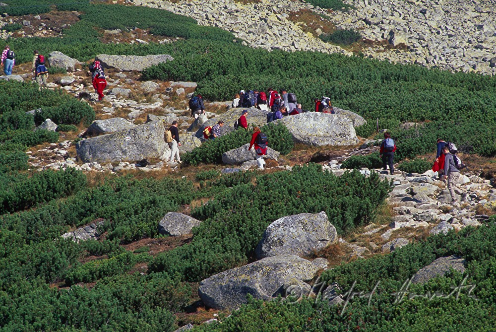 Wanderer auf dem Weg zu Lomnický štít (Lomnitzer Spitze)