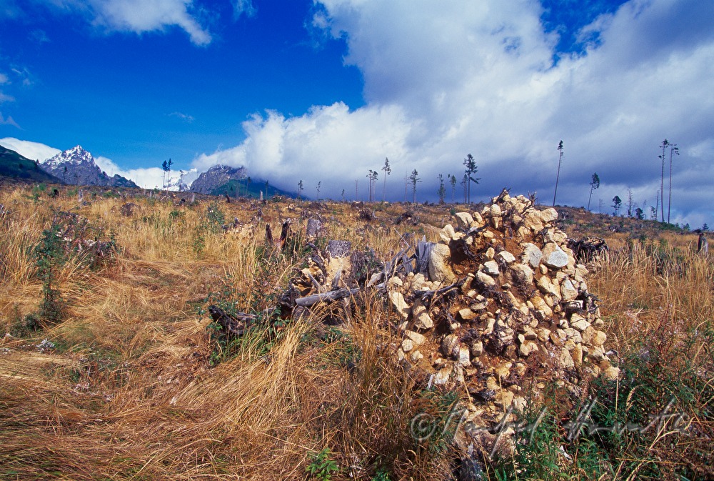 Berggipfel und Wolken
