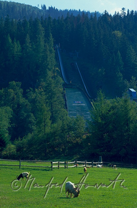 Schisprungschanze 