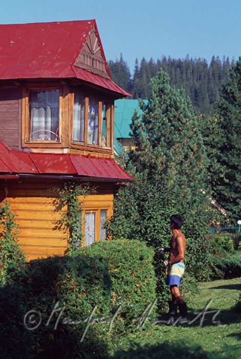 Holzhaus im 