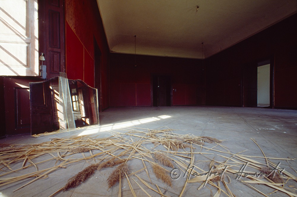 Ballsaal mit Schilf am Boden