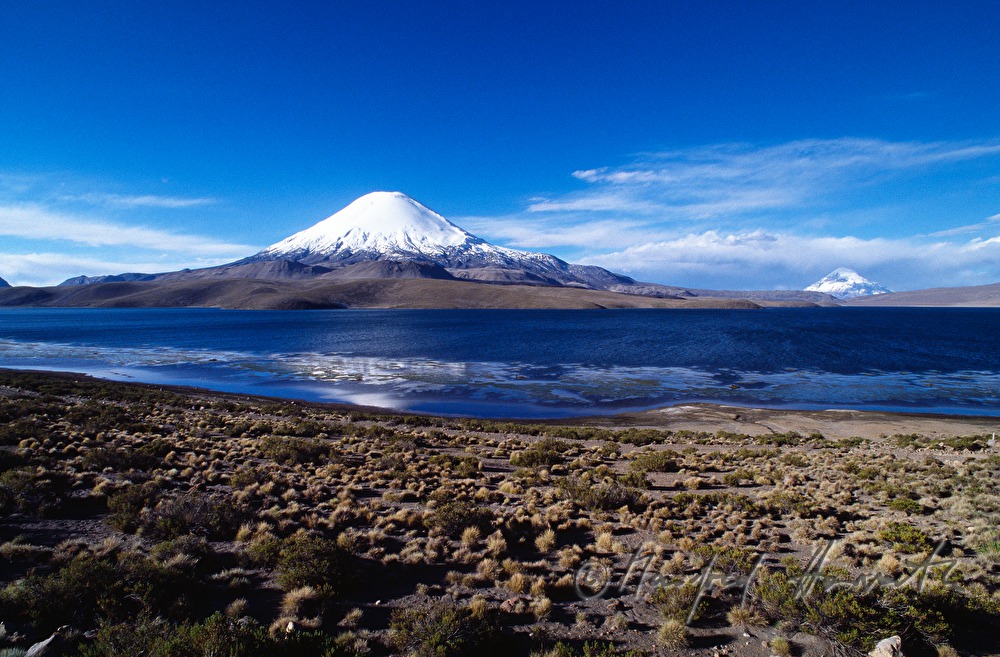 Lago Chungará und Vulkan Parinacota
