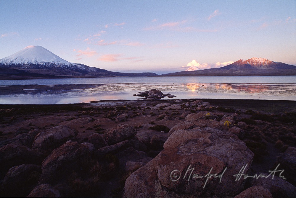 Lago Chungará, Vulkan Parinacota