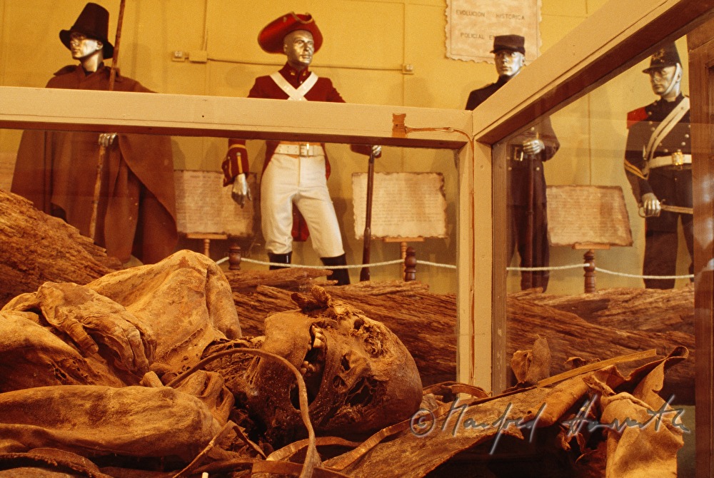 Museo Provincial Fernando Cordero Rusque, Mumie (15. Jhdt)