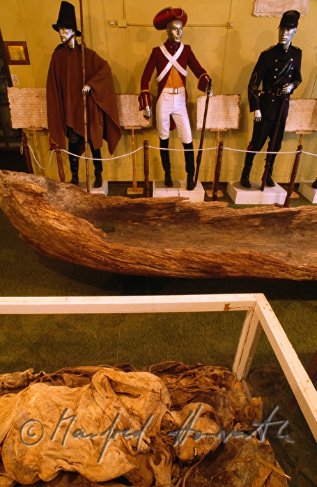 Museo Provincial Fernando Cordero Rusque, Mumie (15. Jhdt)