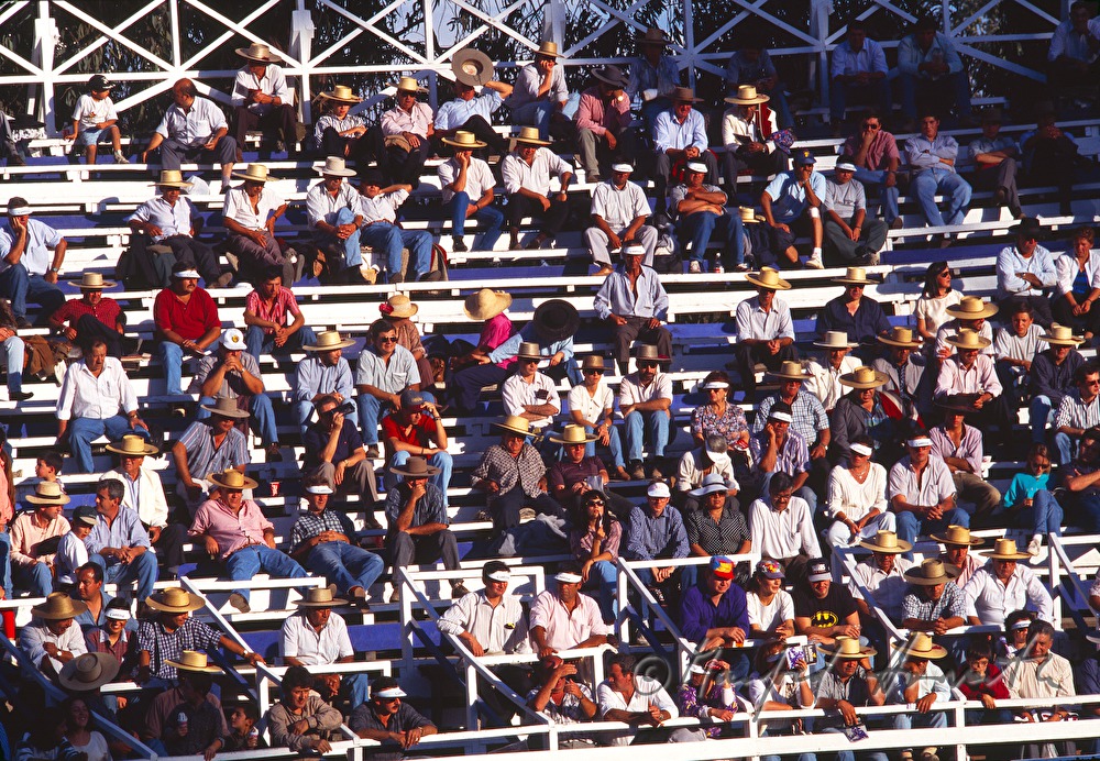 Rodeo-Vorführung, Publikumsarena
