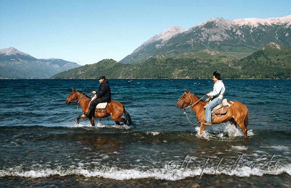 Reiter im Lago Puyehue