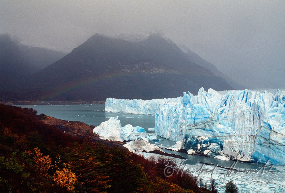 Perito-Moreno-Gletscher kalbt in den  Lago Argentino