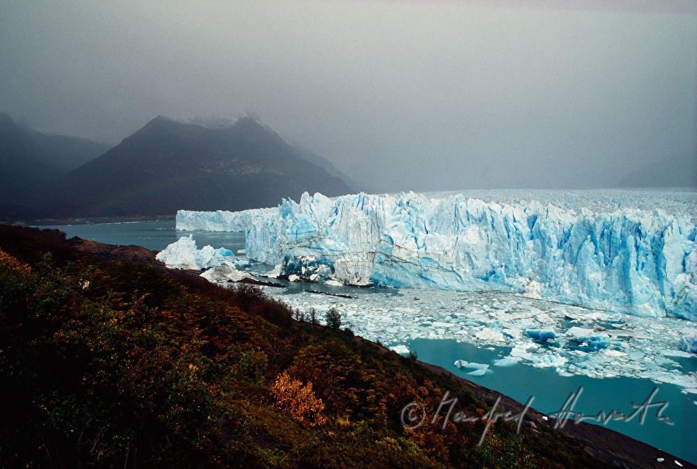 Perito-Moreno-Gletscher kalbt in den  Lago Argentino
