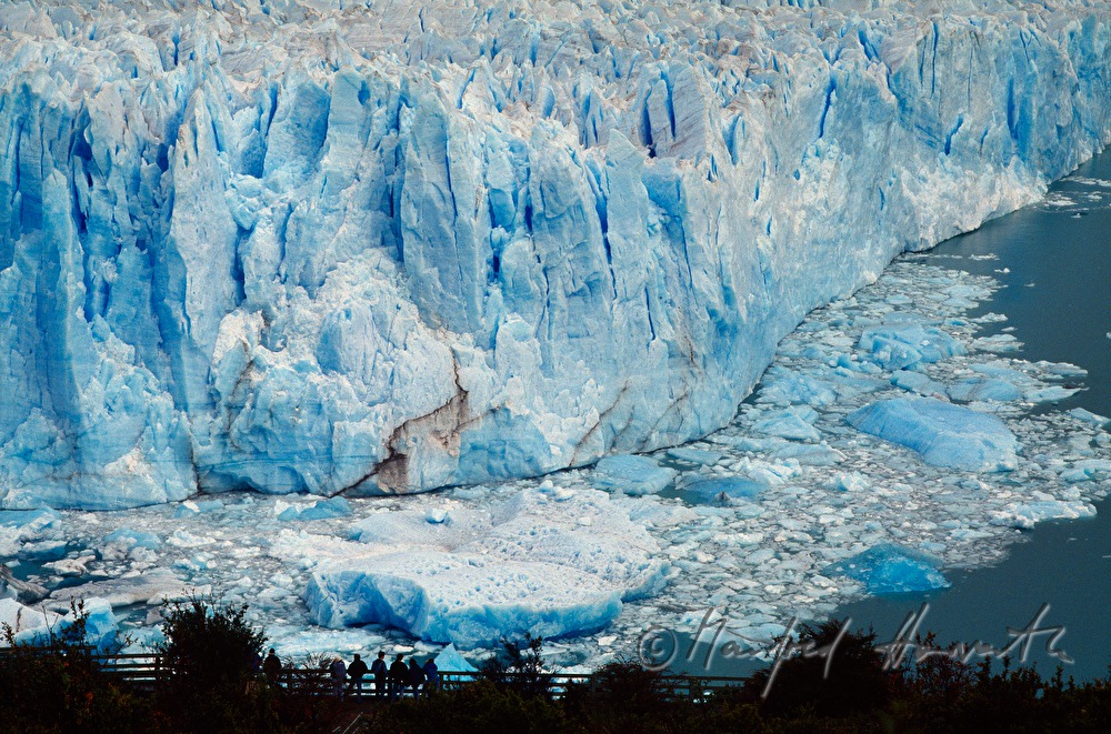 Perito-Moreno-Gletscher kalbt in den  Lago Argentino