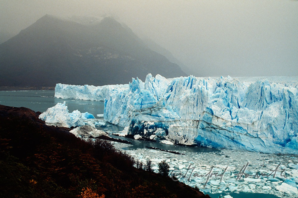 Perito-Moreno-Gletscher kalbt in den  Lago Argentino