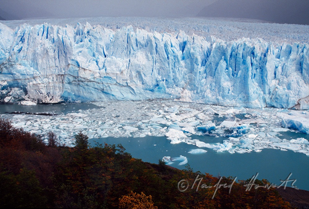 Perito-Moreno-Gletscher kalbt in den  Lago Argentino