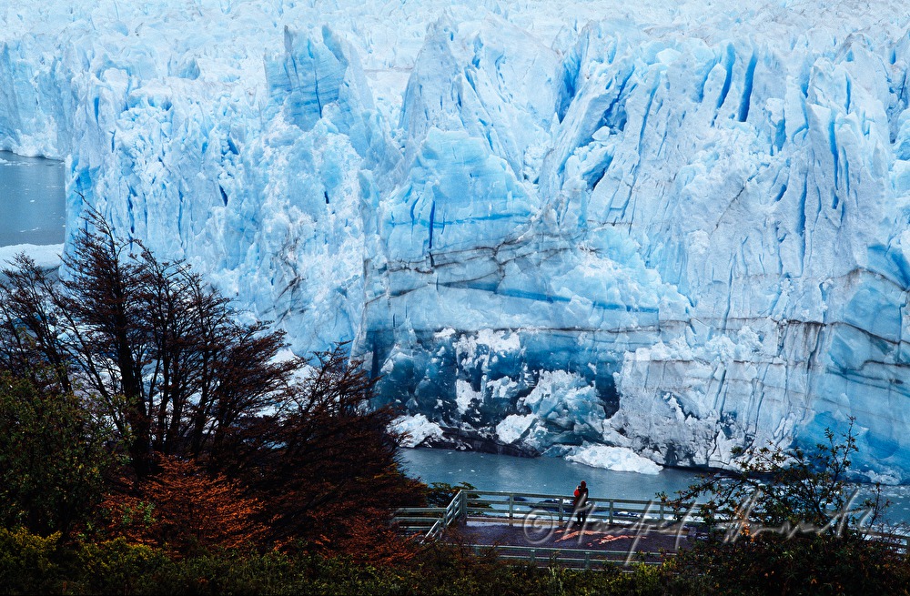 Perito-Moreno-Gletscher kalbt in den  Lago Argentino