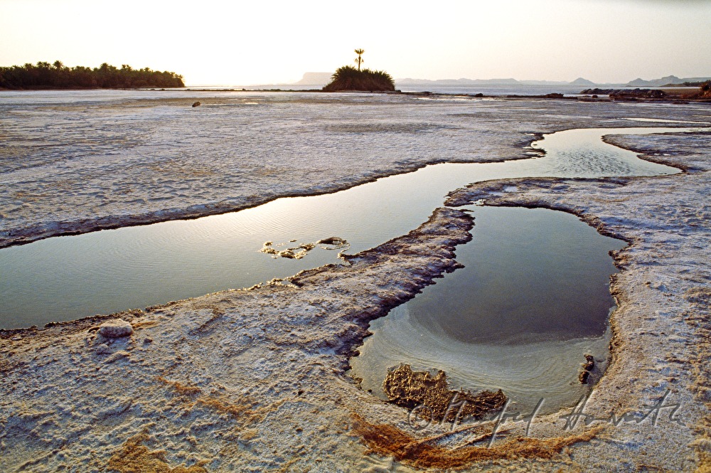 Wasserlacken am Siwa-Salzsee