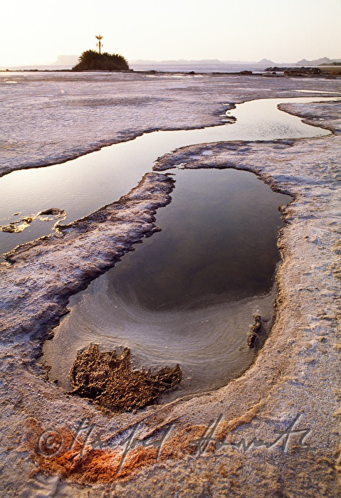 Wasserlacken am Siwa-Salzsee