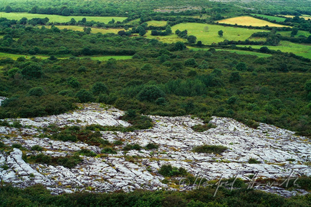 furchiges Karstplateau und grüne Landschaft