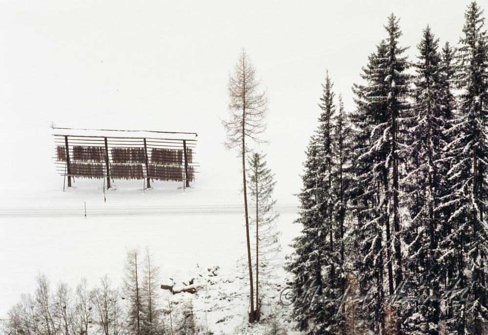 Heuschober mit Holzstangen für Heu-Mandeln