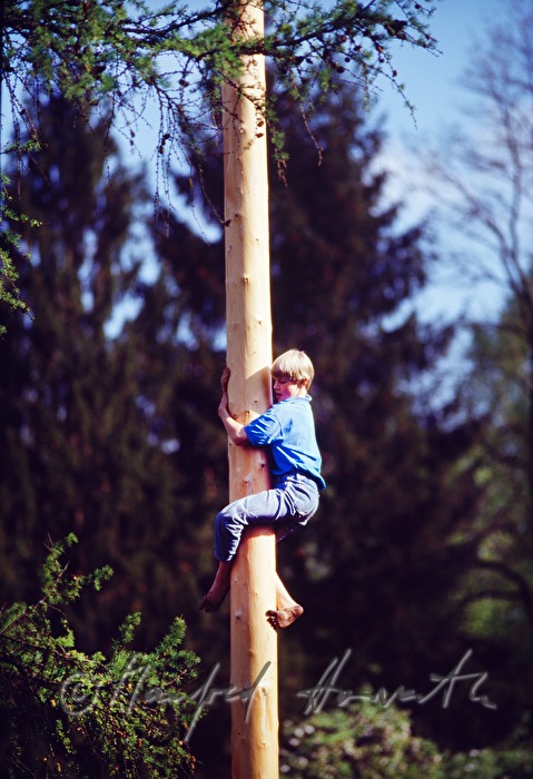 Junge klettert auf Maibaum am 1.Mai