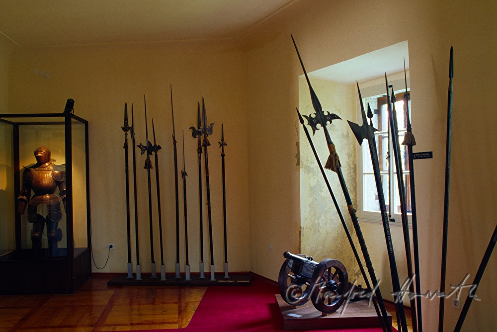 Burg Bled, Museum