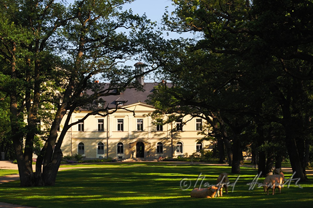 Chateau Mcely, Ansicht vom Park