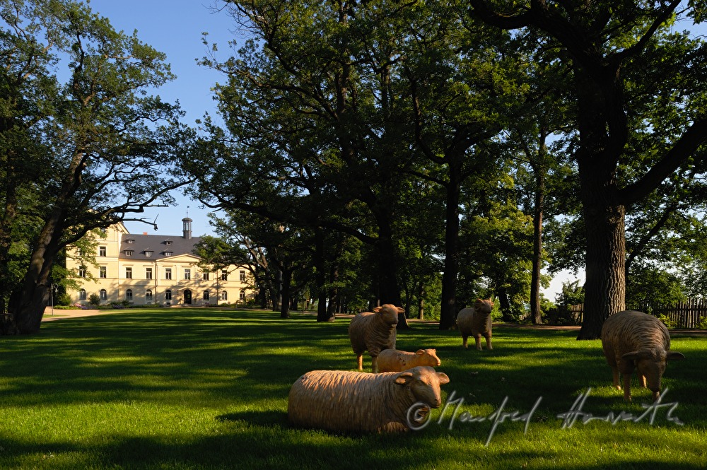 Chateau Mcely, Ansicht vom Park