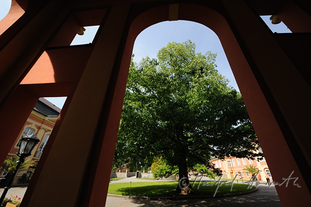 Schloss Dobris, Innenhof