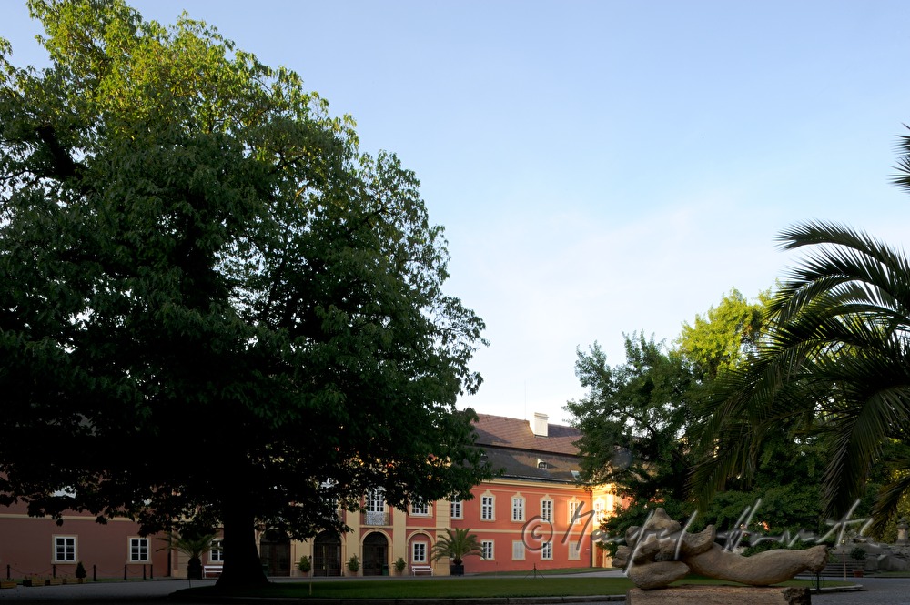 Schloss Dobris, Innenhof