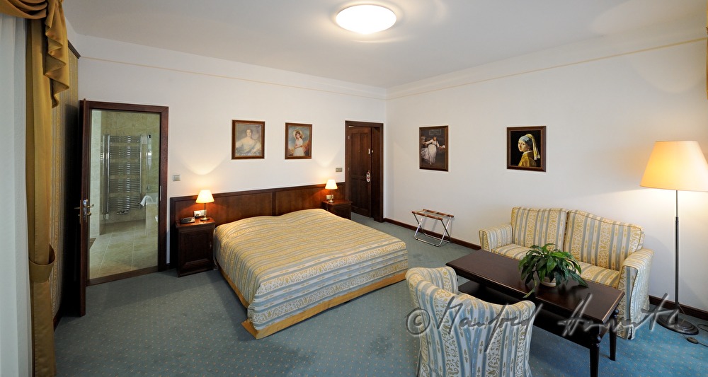 Schloss Dobris, Hotelzimmer
