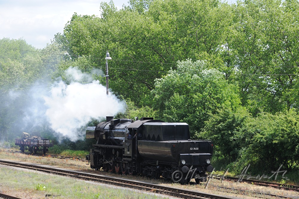 Dampflokomotive im Bahnhof von Dolni Krupa