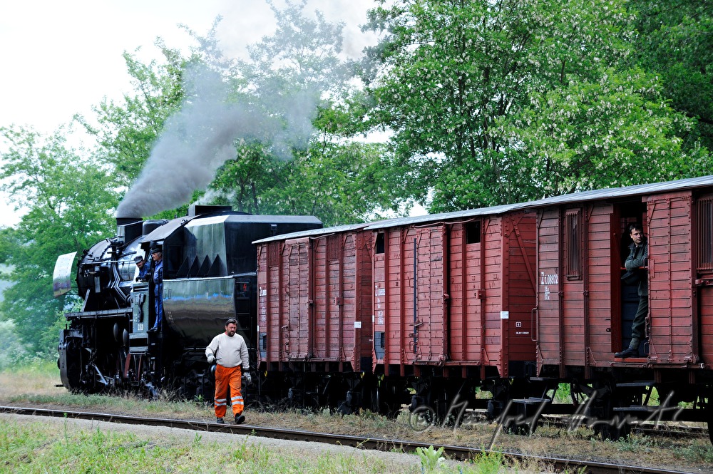 Dampflokomotive im Bahnhof von Dolni Krupa