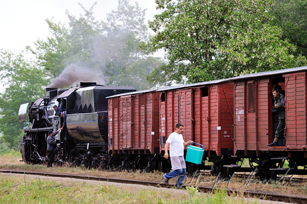 Dampflokomotive im Bahnhof von Dolni Krupa