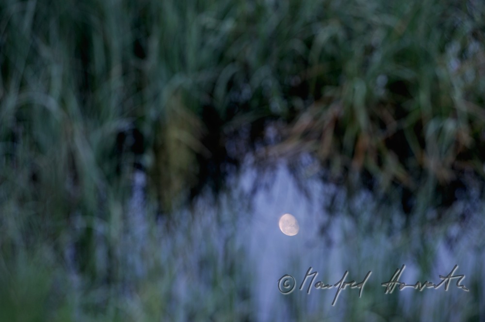 Durnholzer See und Spiegelung des Vollmond