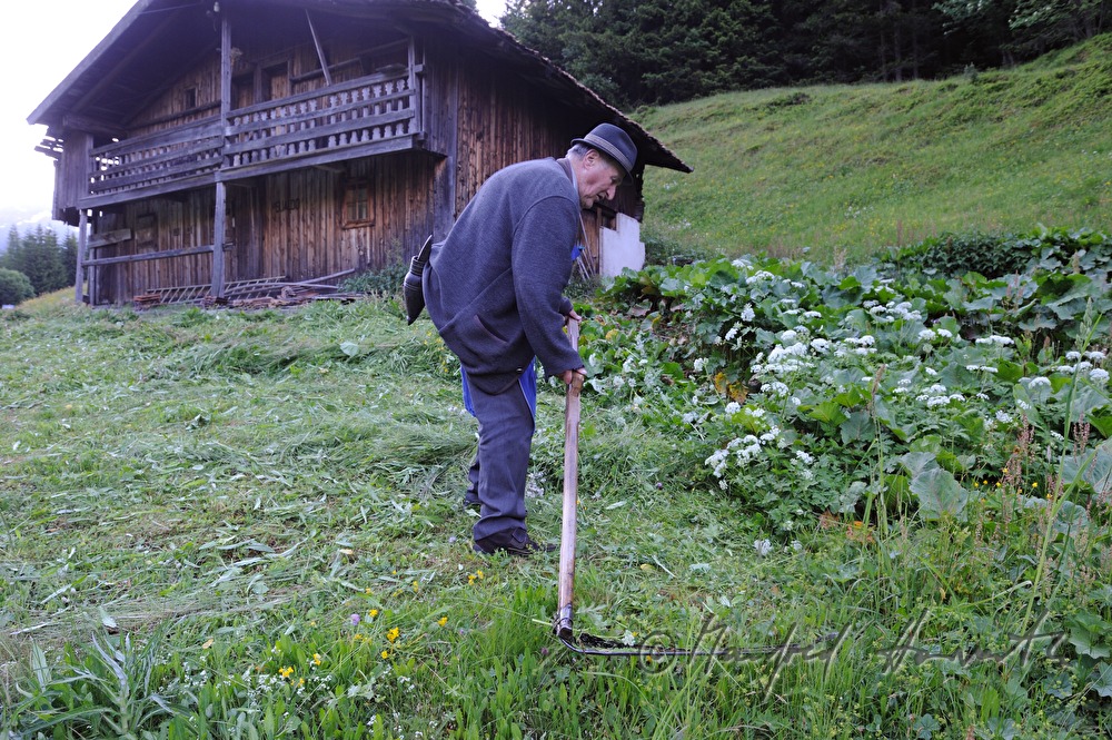 Bauer mäht seine Wiese mit der Sense