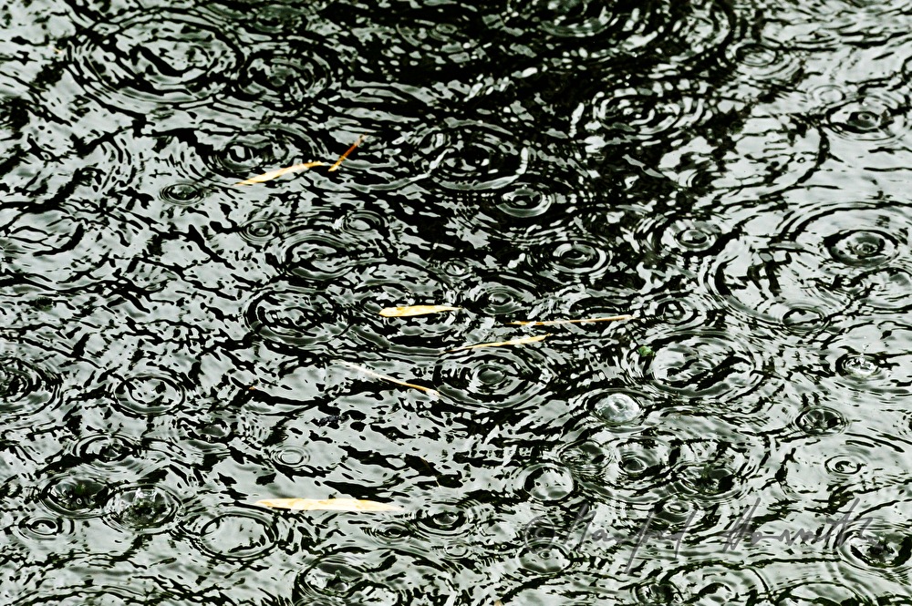 Regentropfen prasseln auf einen Teich