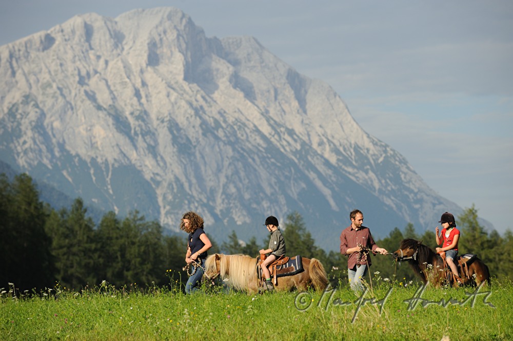 Reiter queren eine Wiese